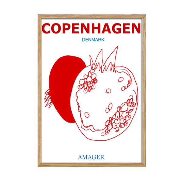 Copenhagen Amager